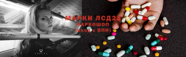 шишки Гусиноозёрск