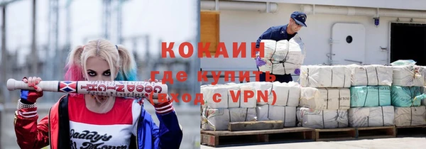 шишки Гусиноозёрск