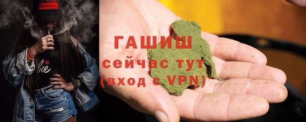 шишки Гусиноозёрск
