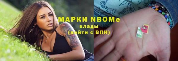 шишки Дмитровск