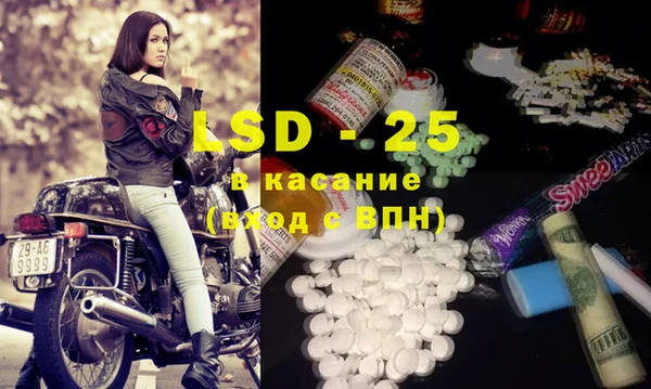 шишки Гусиноозёрск