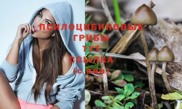 шишки Гусиноозёрск