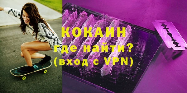 шишки Гусиноозёрск