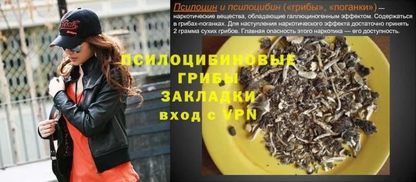 шишки Гусиноозёрск