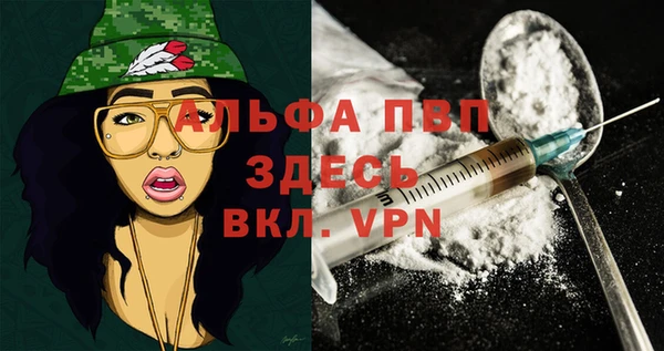 PSILOCYBIN Гусь-Хрустальный