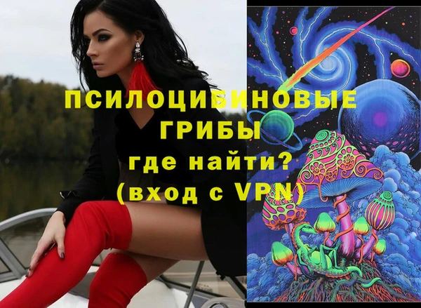 PSILOCYBIN Гусь-Хрустальный