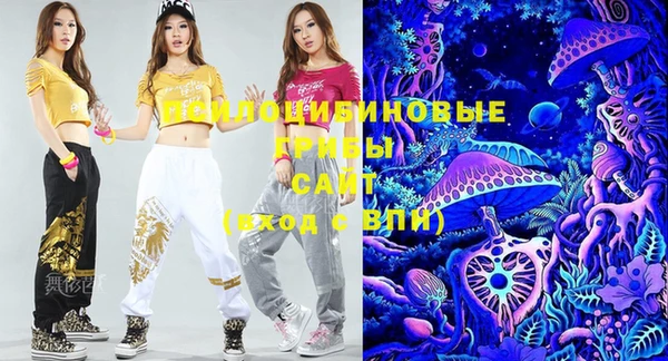 шишки Дмитровск