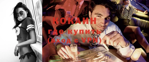 шишки Гусиноозёрск