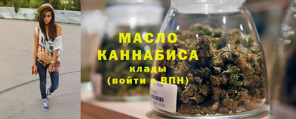 шишки Дмитровск