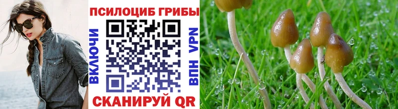 Галлюциногенные грибы Magic Shrooms  Батайск 